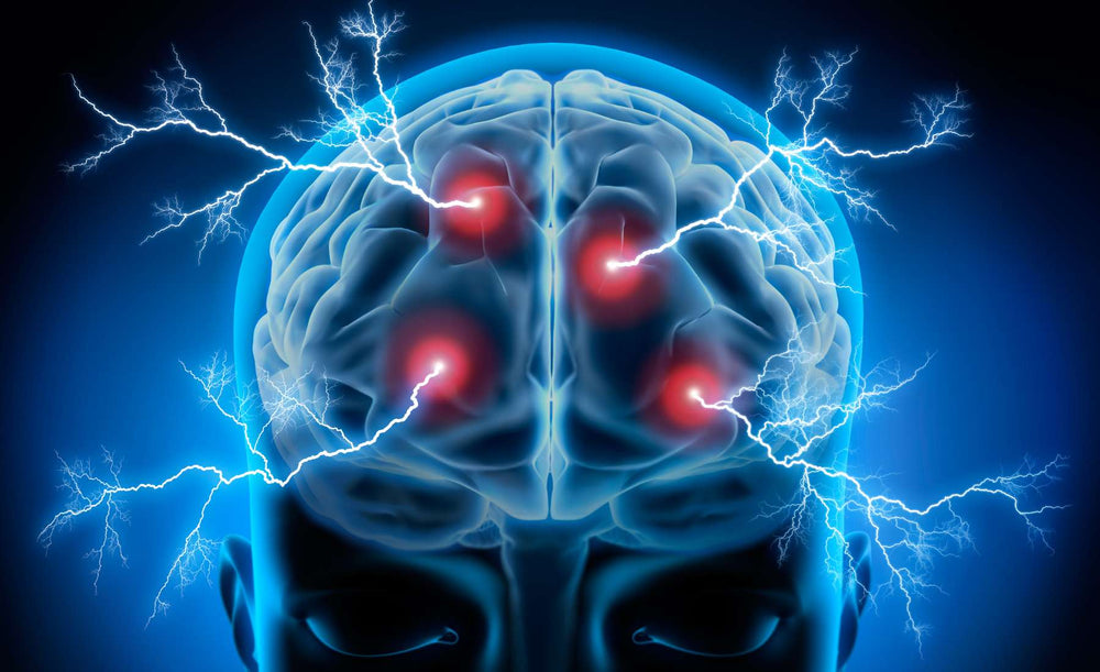 Lion’s Mane’s Neuroprotective Benefits: Protecting and Regenerating Brain Cells for Optimal Brain Health