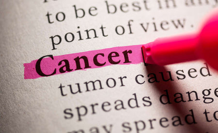 The Anti-Cancer Potential of Lion’s Mane: Current Research Findings