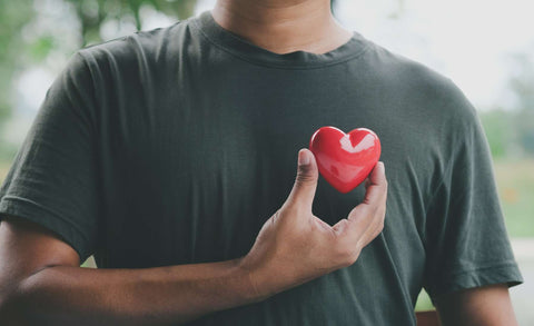 How Lion’s Mane Supports Heart Health